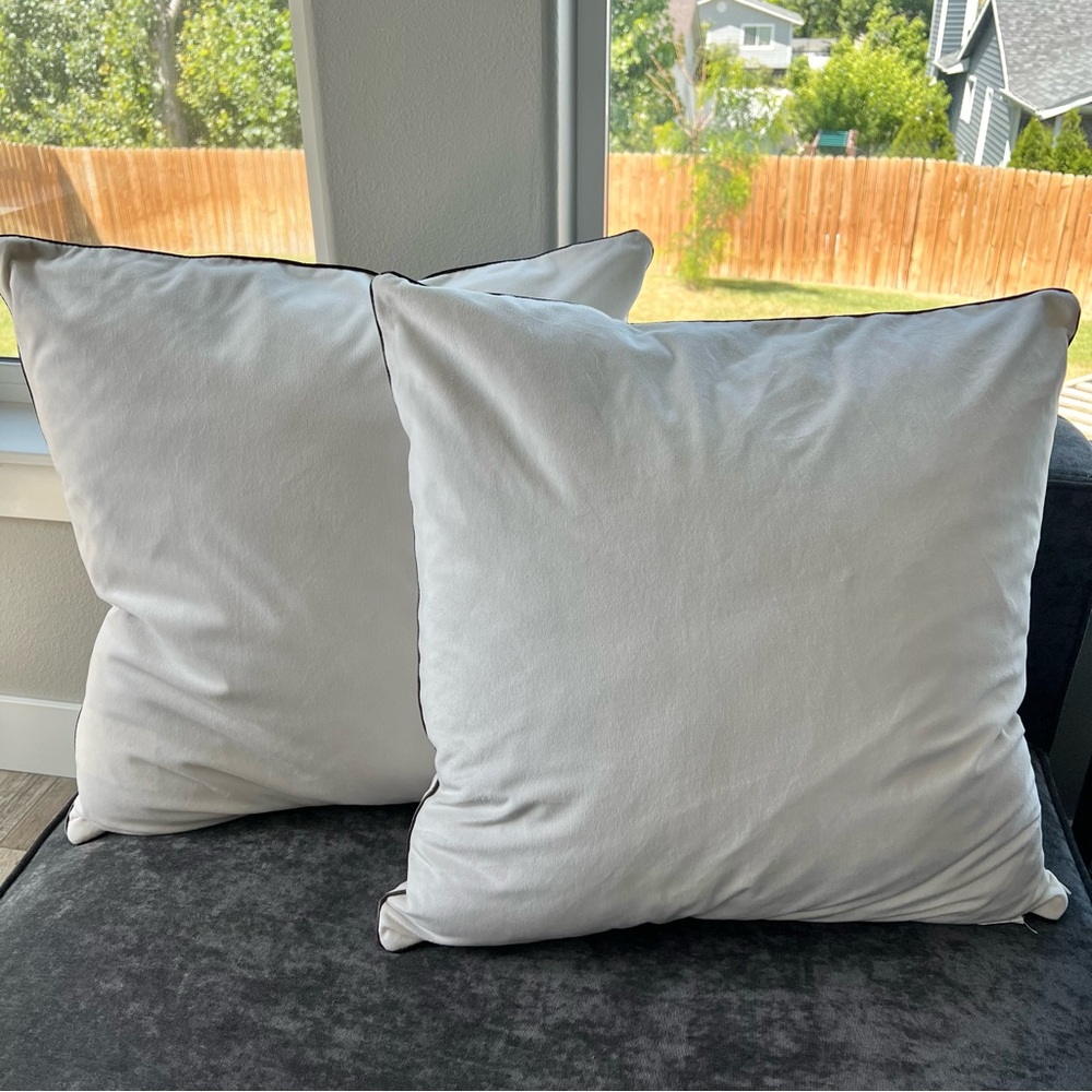 Member's Mark Dutch Velvet 2-Pack Decorative Pillows, 22" x 22"